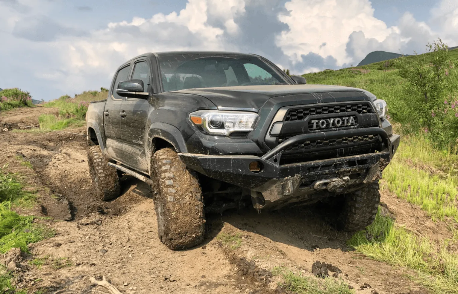 2005-2022 TOYOTA TACOMA TRAIL EDITION ROCK SLIDERS