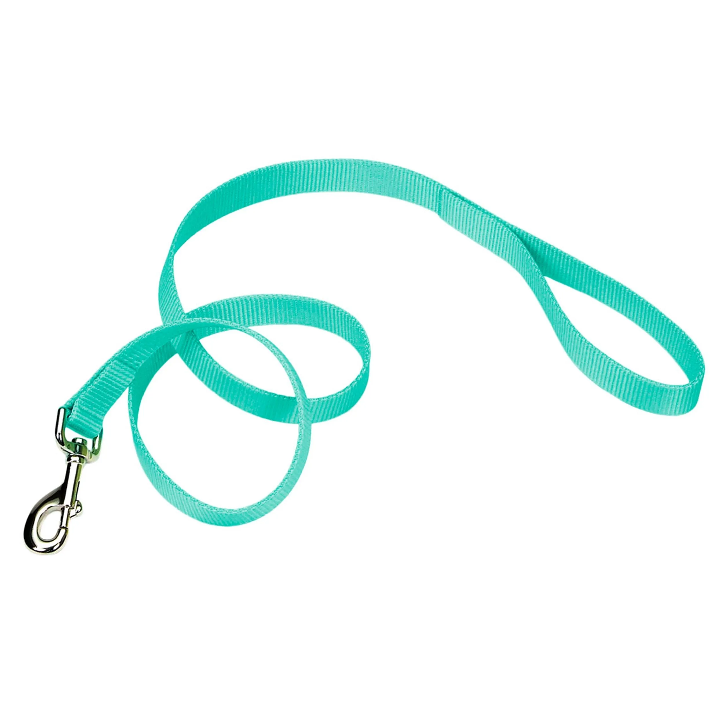 Coastal Single-Ply Dog Leash, Teal 1 x 6'