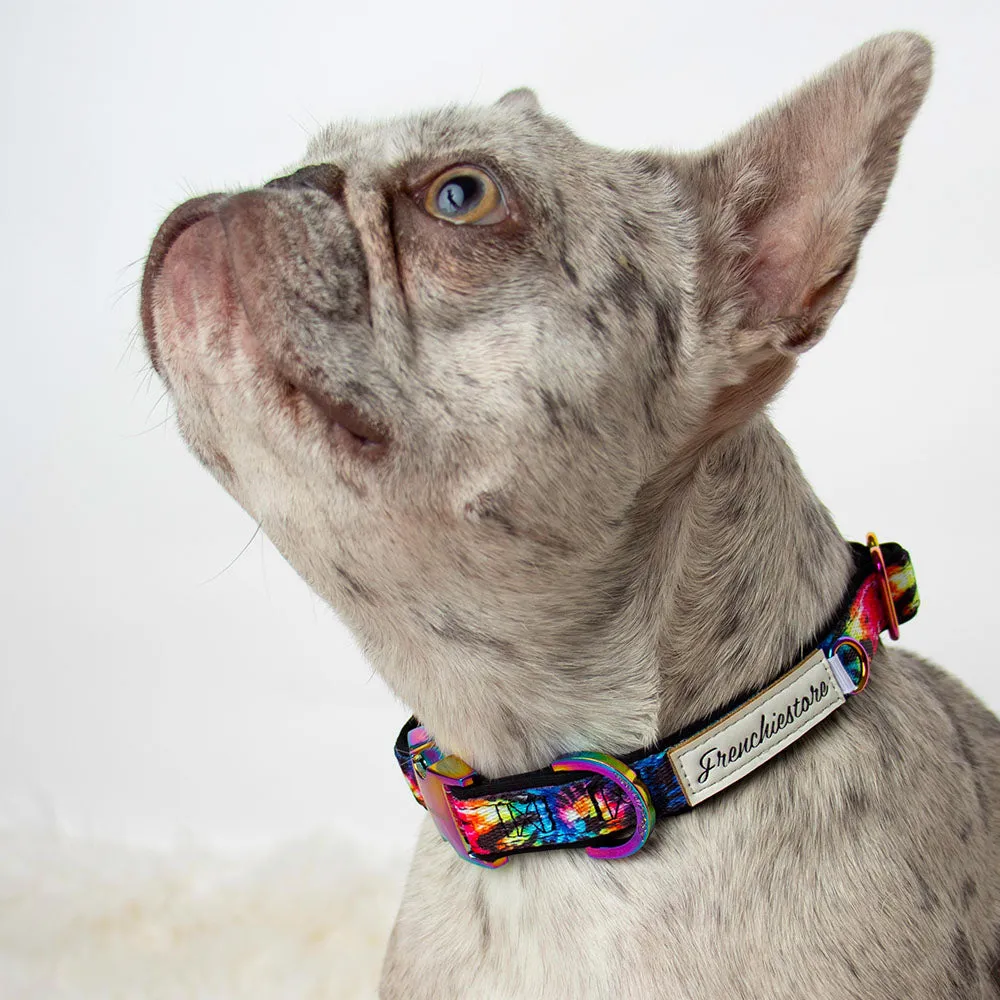 Frenchiestore Breakaway Dog Collar | Love is Love